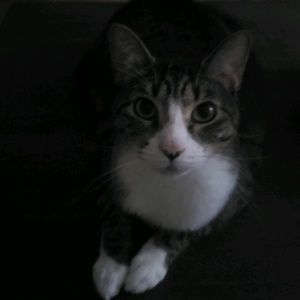 Meet your Posher, Teresa